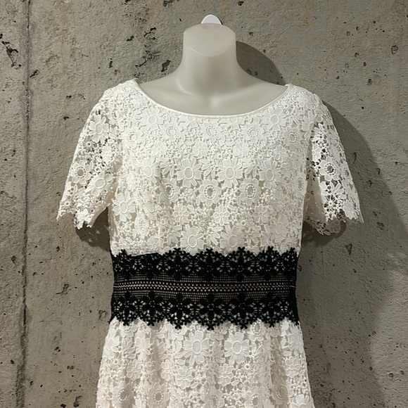 Anthropologie Shani White Lace Dress W/ Black Lace Accents Size - 6 - Picture 4 of 10